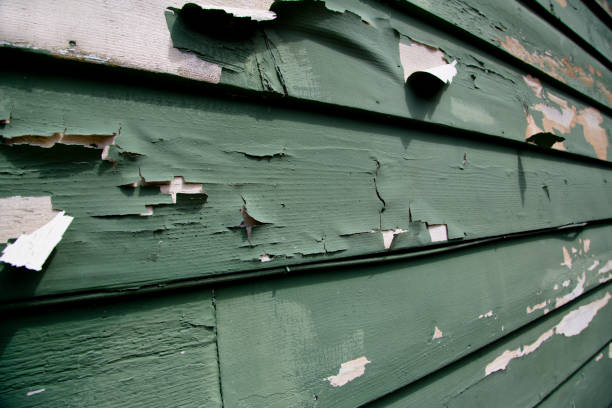 Best Siding Removal and Disposal  in Poplar Grove, IL